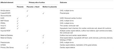 Recent Advances in Placenta–Heart Interactions